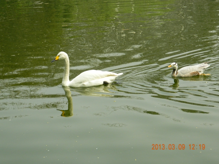 DSCN0478.jpg