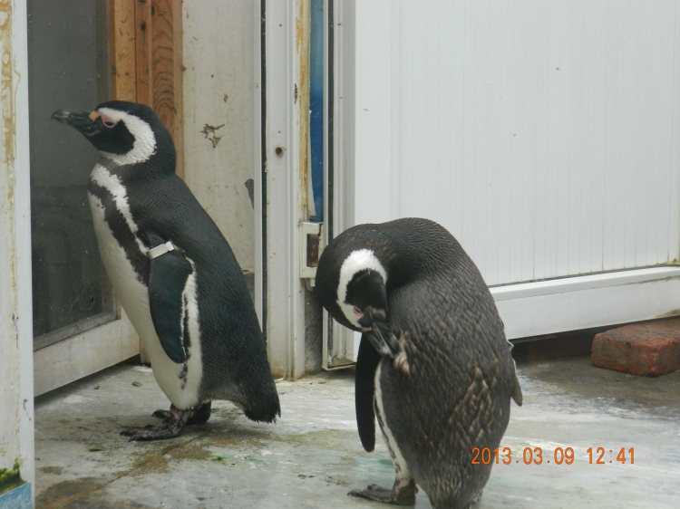 DSCN0503.jpg
