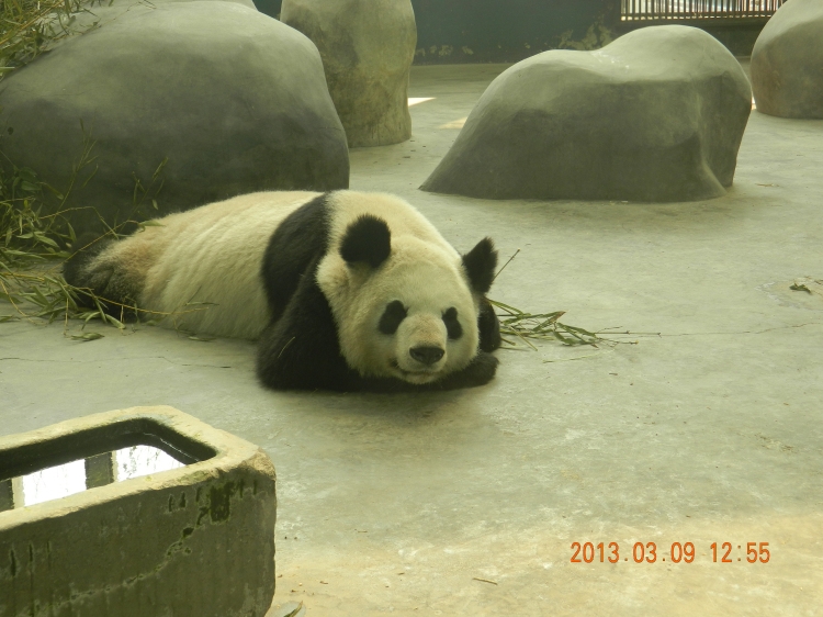 DSCN0514.jpg