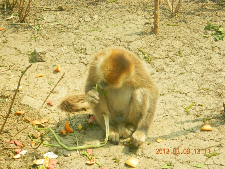 DSCN0520.jpg