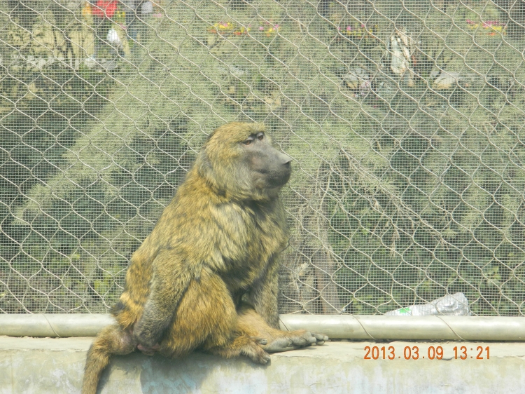 DSCN0523.jpg