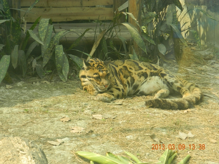 DSCN0537.jpg