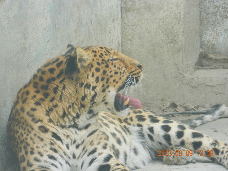 DSCN0540.jpg
