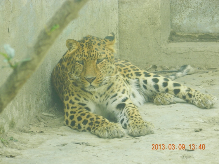 DSCN0541.jpg