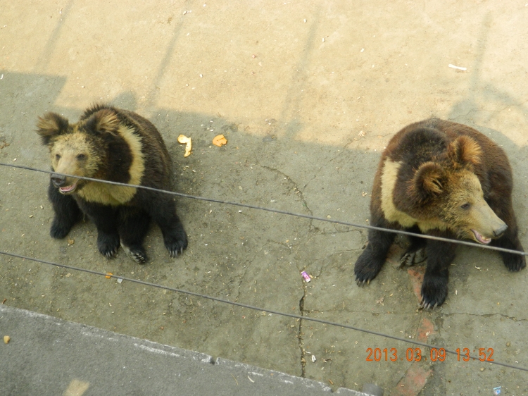 DSCN0553.jpg
