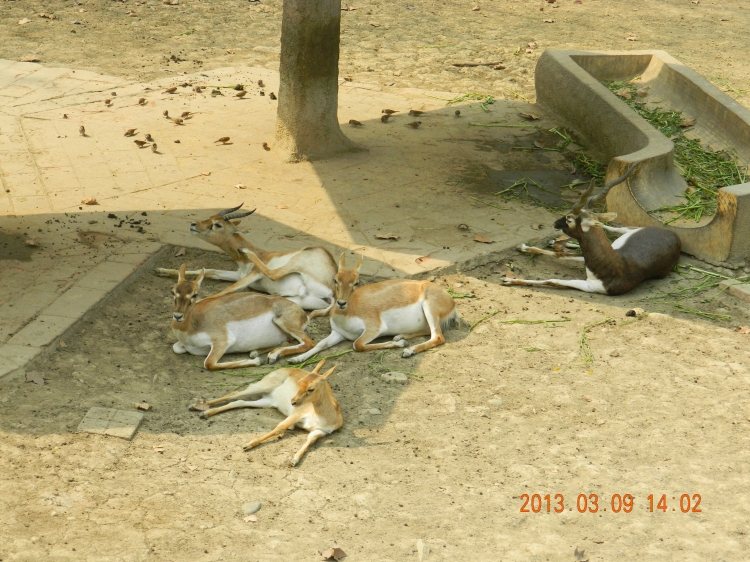 DSCN0560.jpg