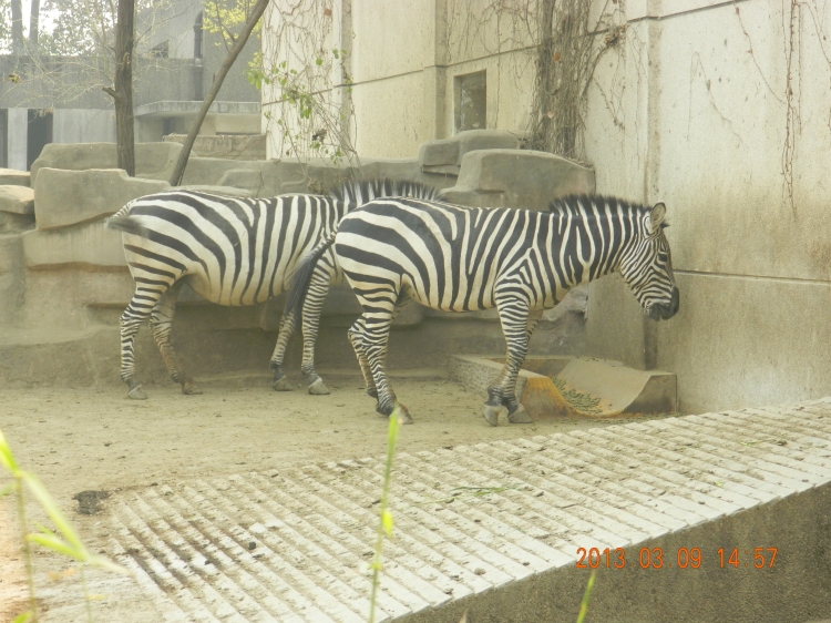DSCN0565.jpg