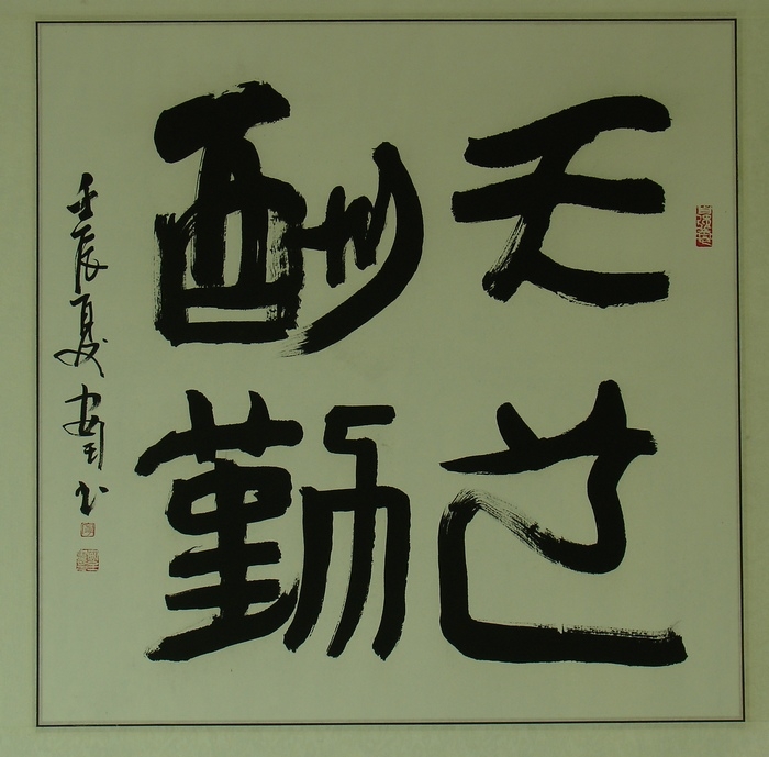 DSC04094.jpg