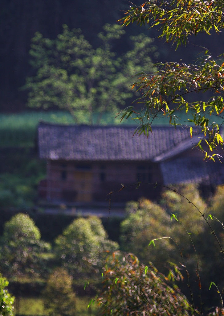 IMG_0967 副本.jpg