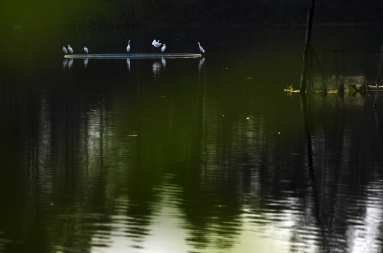 DSC_9865.jpg