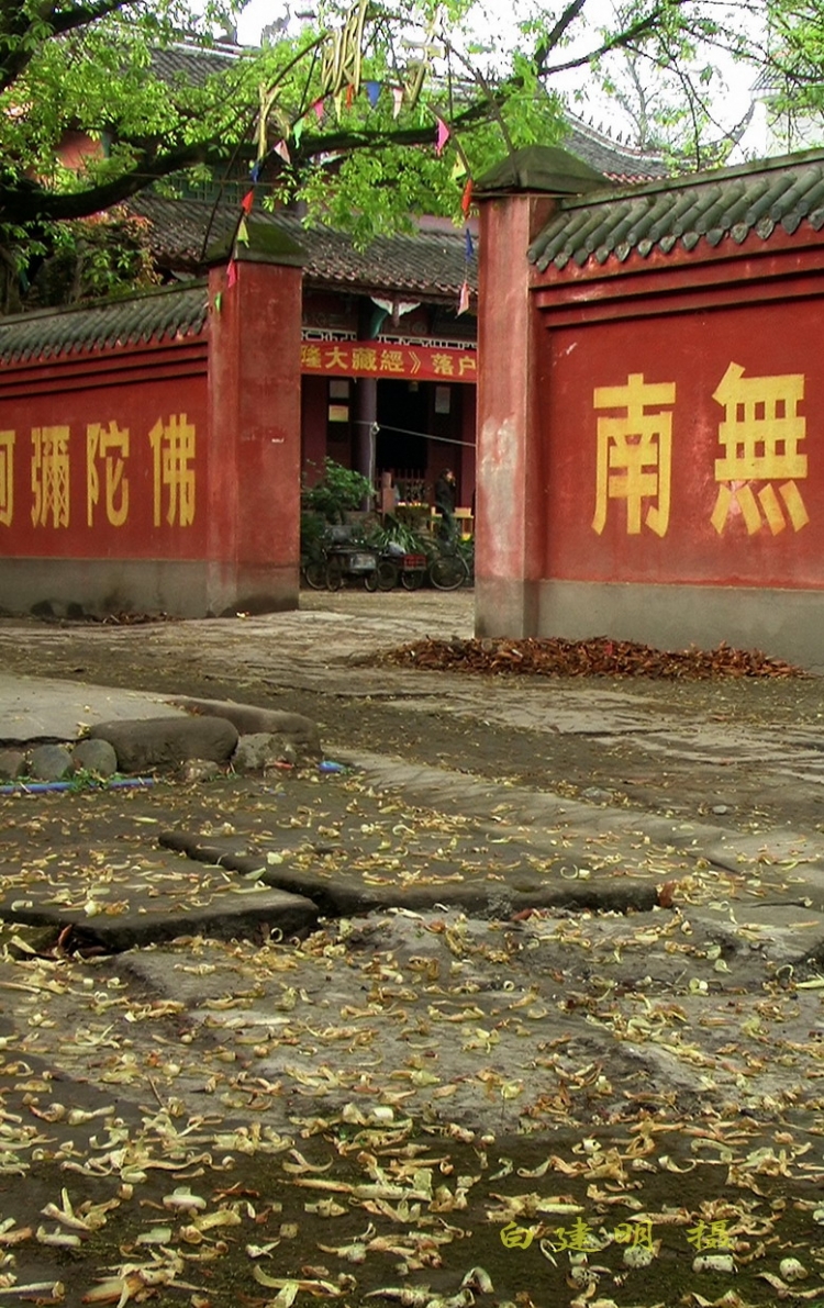 夜来风雨声2.jpg