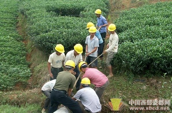 乐山夹江电力工作人员正在进行电力抢险