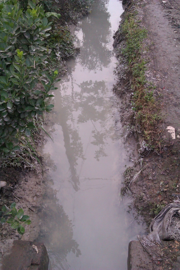 IMAG0384.jpg
