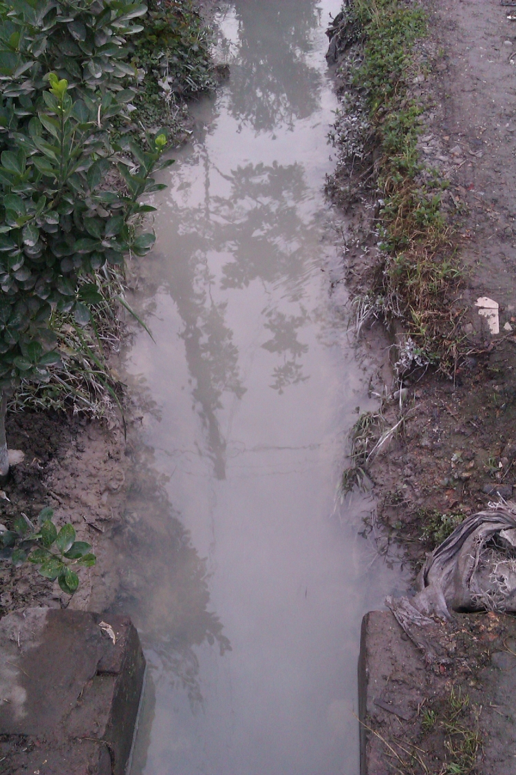 IMAG0383.jpg