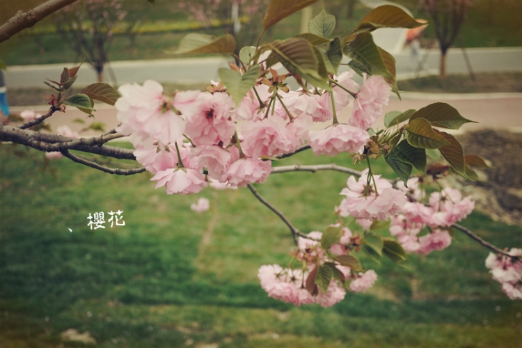 P1080557.jpg