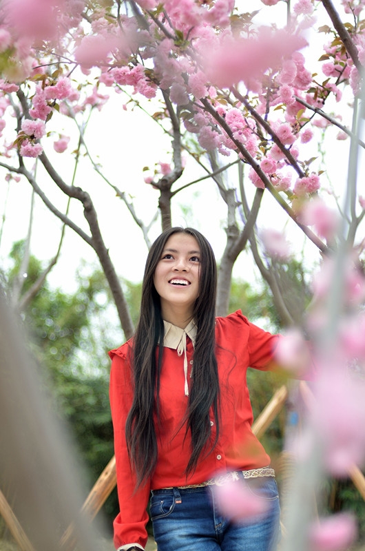 她透过花的缝隙凝望我　　我越过她的笑颜看樱花.jpg