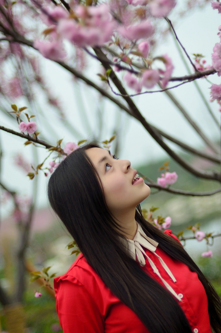 樱花  一段短暂的甜蜜　　惊醒在你美丽的记忆里　　在一场倒春寒后你感冒发烧　　抒情.jpg