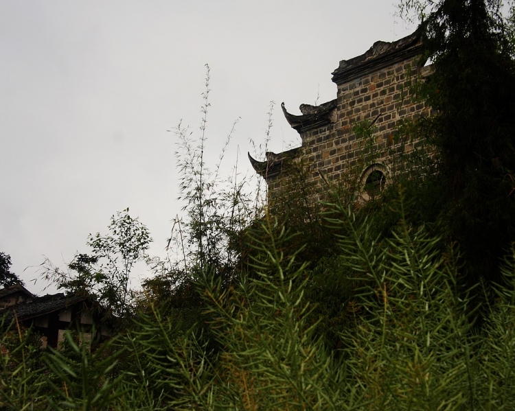IMG_7525.JPG