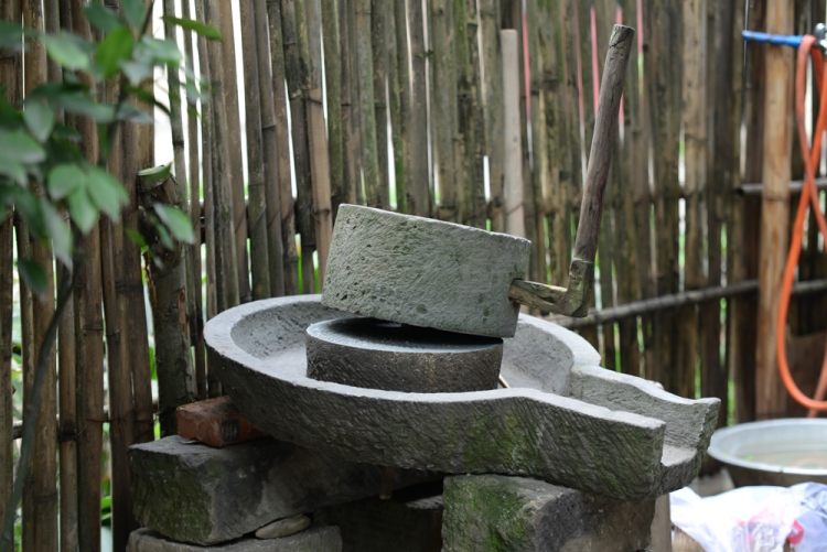 DSC_4358.JPG