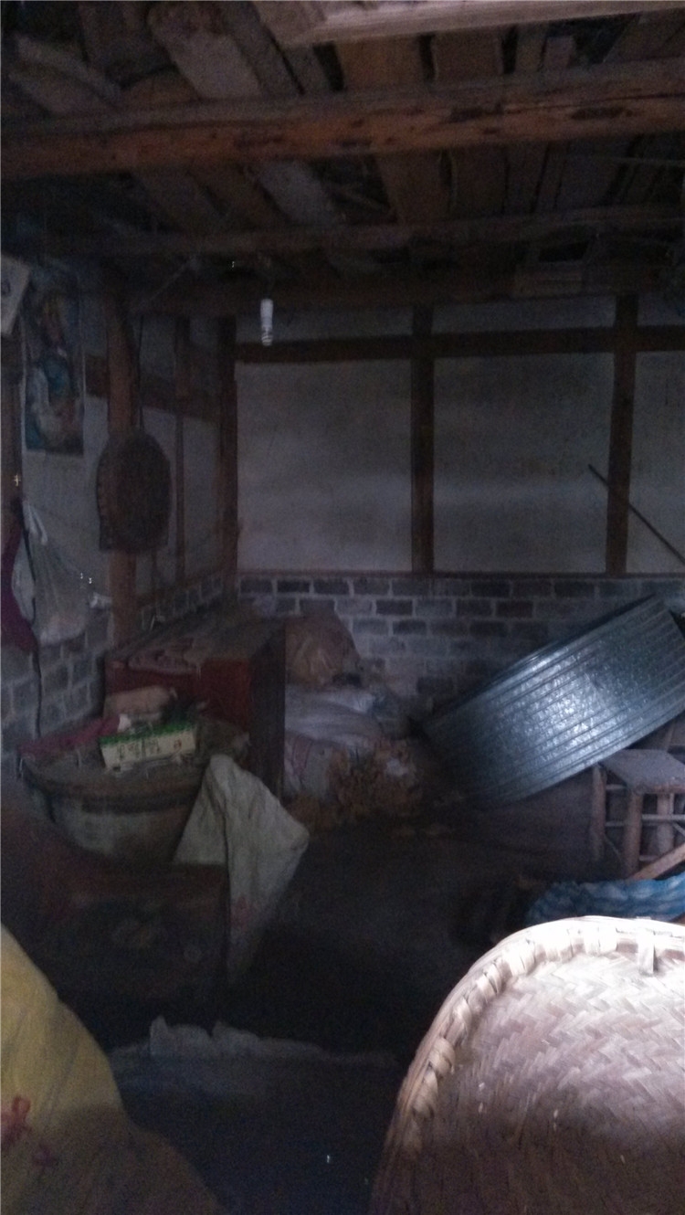 IMG_20130428_110152.jpg
