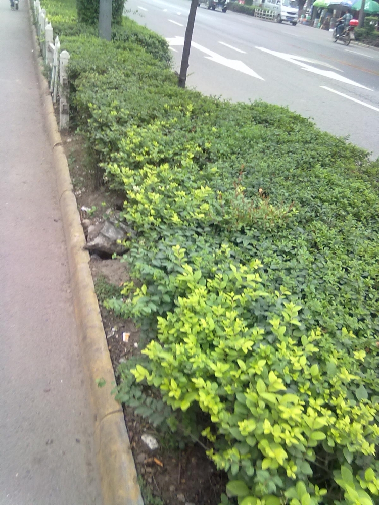20130428343.jpg