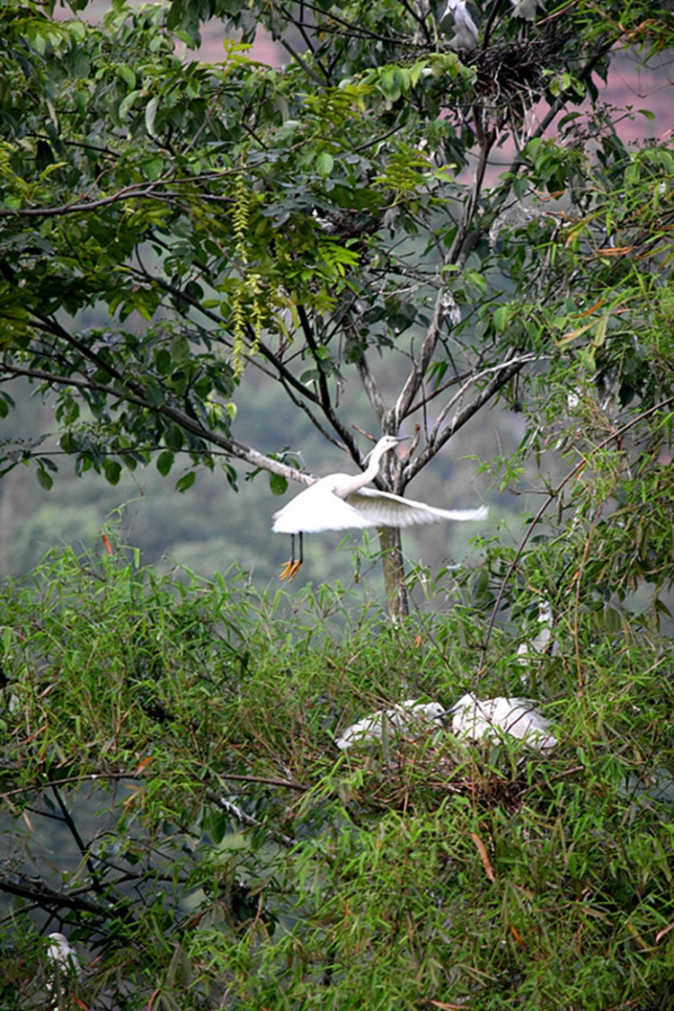 IMG_5824_副本_副本.jpg