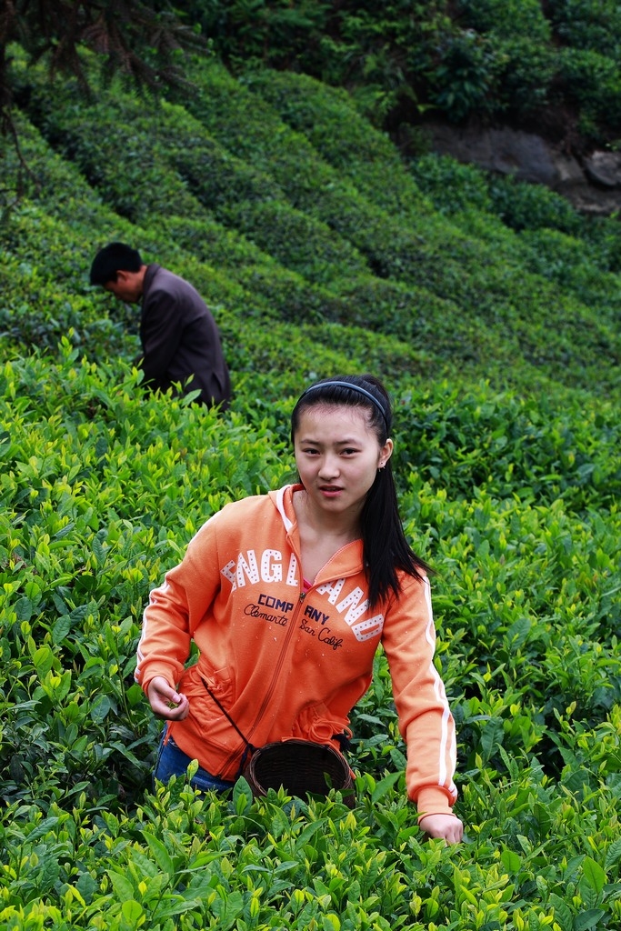 IMG_9879.jpg