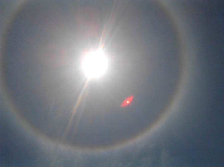 2013-05-12_13-59-16_976564_org.jpg