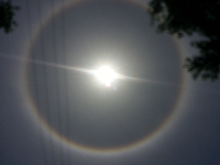 20130512_133756.jpg