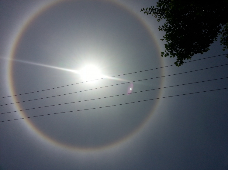 20130512_133814.jpg