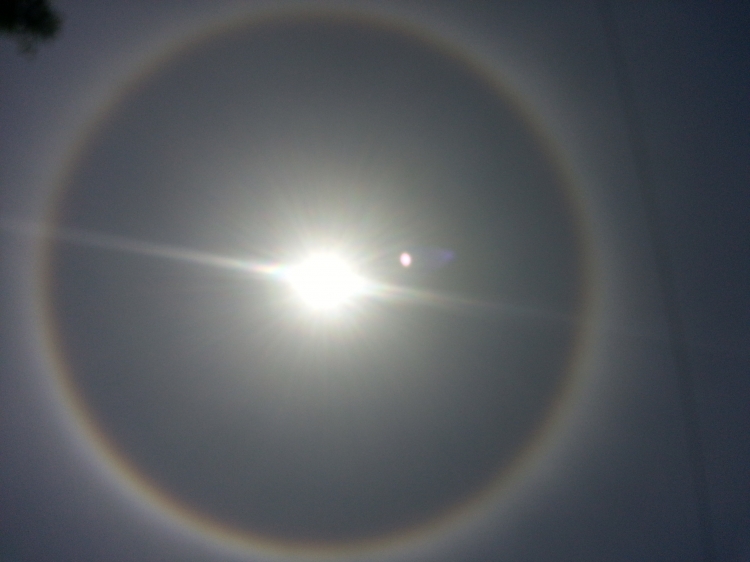 20130512_133841.jpg