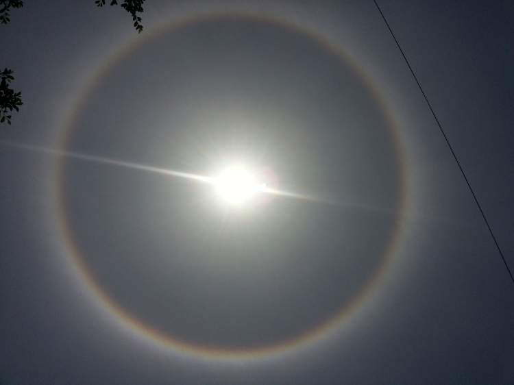20130512_133851.jpg