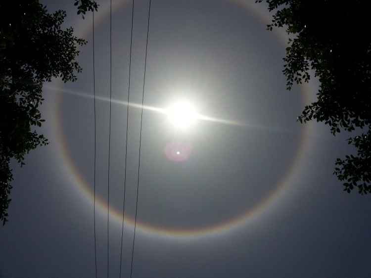 20130512_133907.jpg