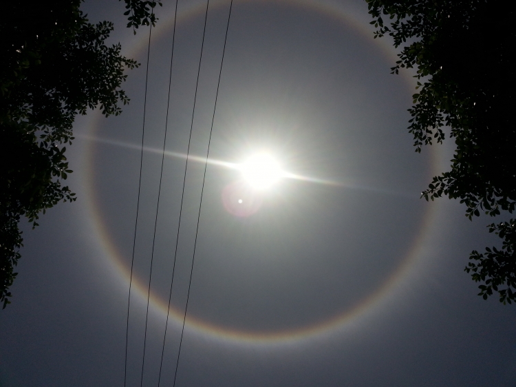 20130512_133921.jpg