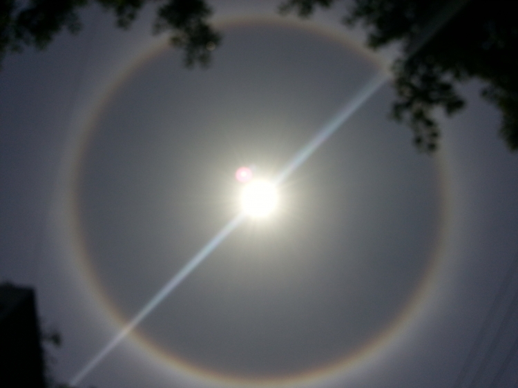 20130512_134743.jpg