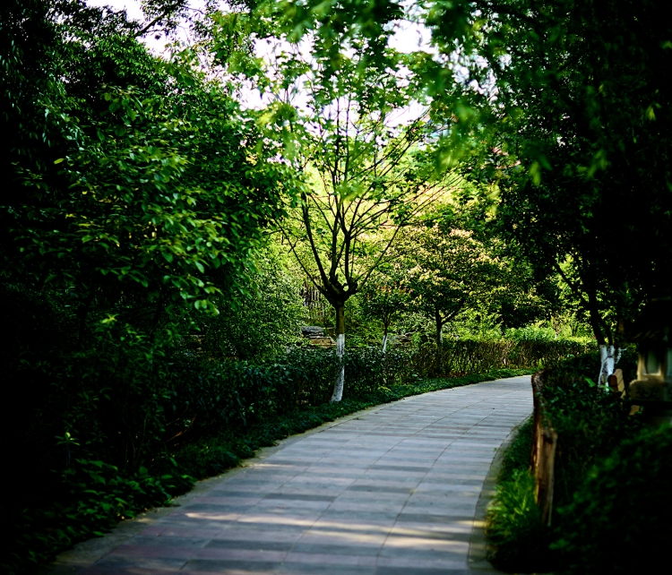 DSC_1838副本.jpg