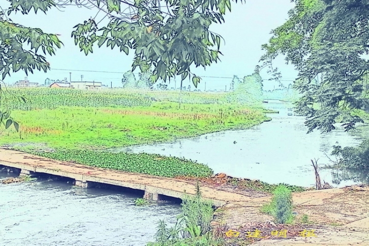 小桥.JPG