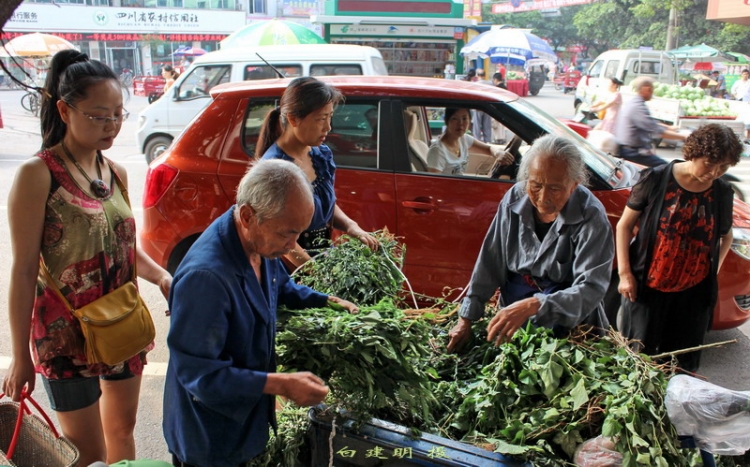 端午草药吸引人.jpg