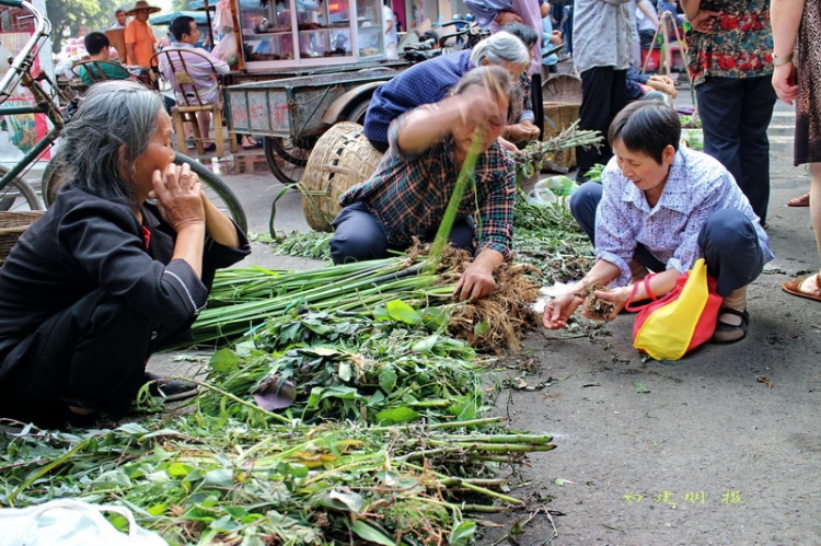 草药地摊.JPG