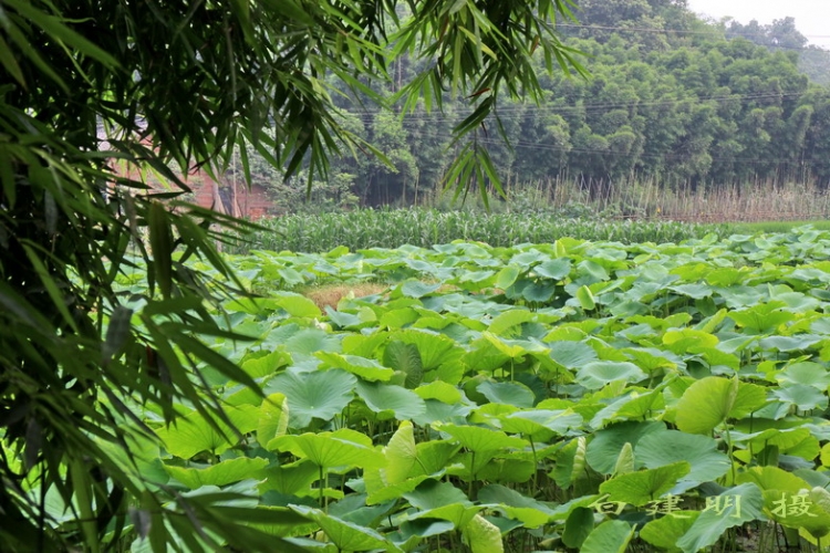 小山村.jpg