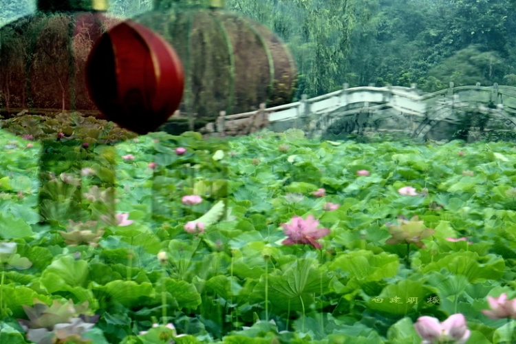 -深宫荷塘断桥影.JPG