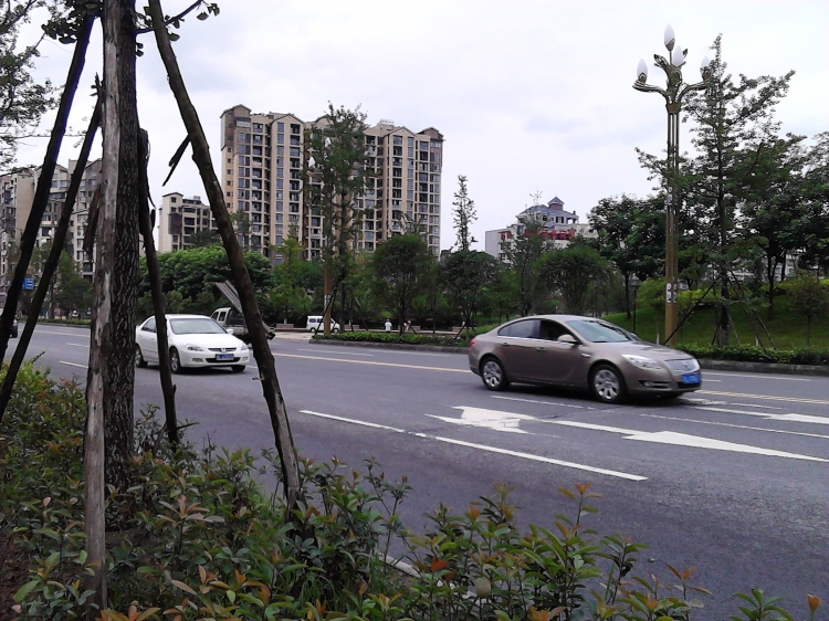 IMG_20130718_160917.jpg