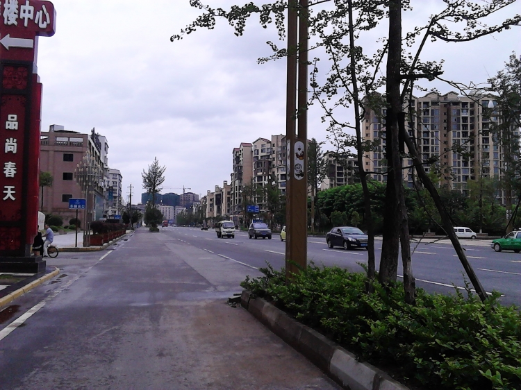IMG_20130718_160931.jpg