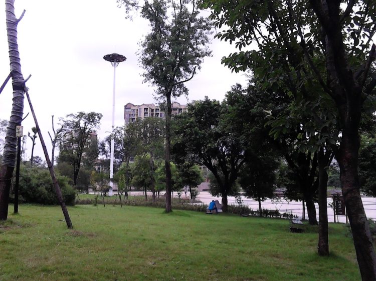 IMG_20130718_161502.jpg