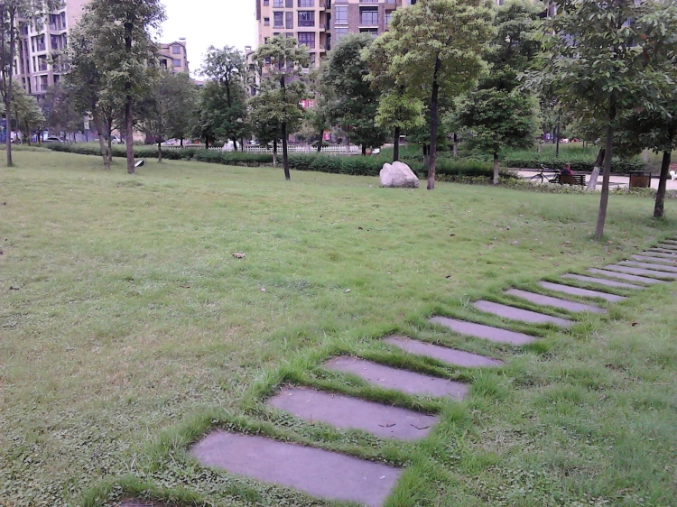 IMG_20130718_161927.jpg