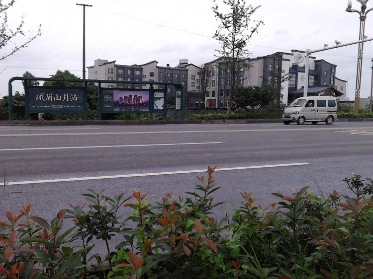 IMG_20130718_154446.jpg