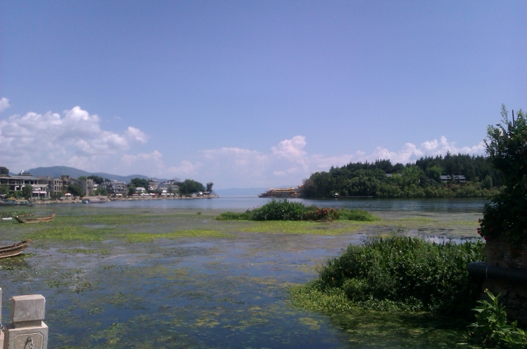 IMAG0428.jpg