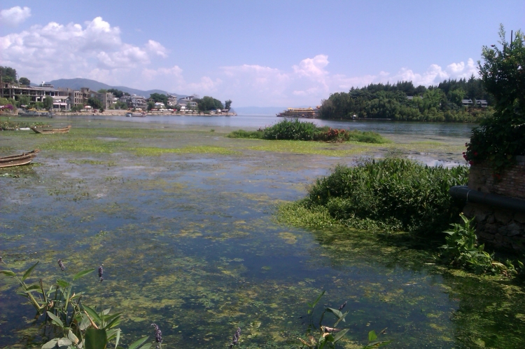 IMAG0429.jpg