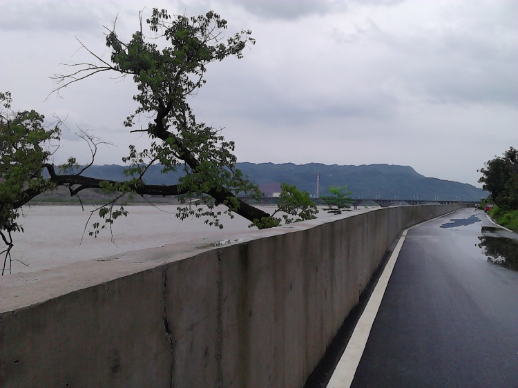 IMG_20130719_095636.jpg