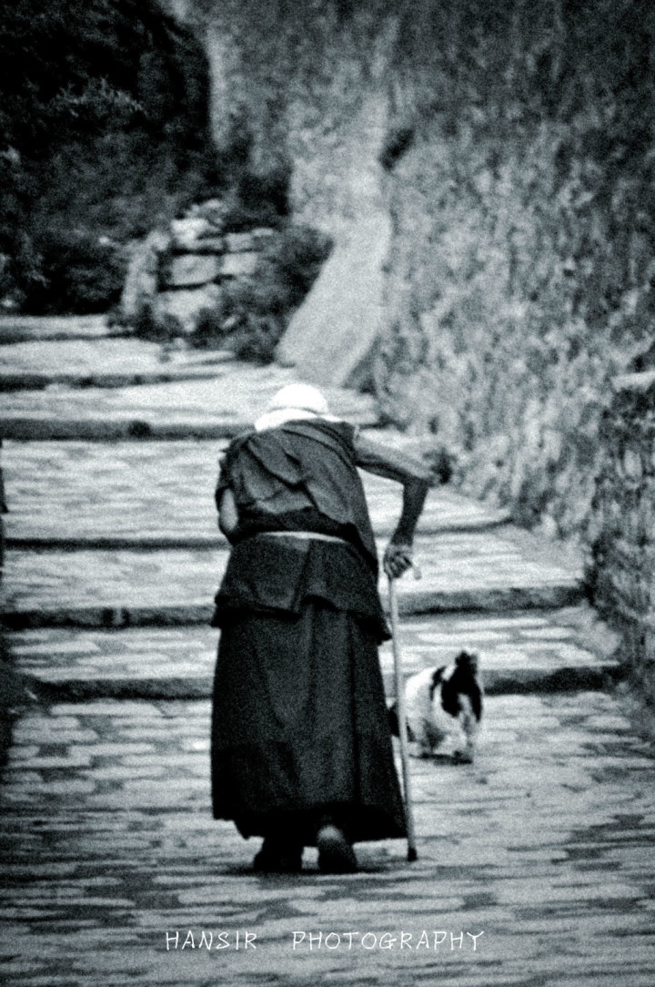 large_yAEc_686d00005104118c.jpg